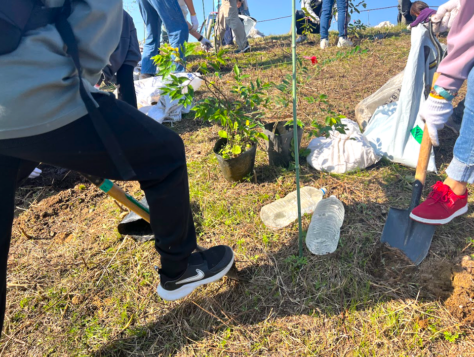 スクリーンショット 2025-11-14 112646.png