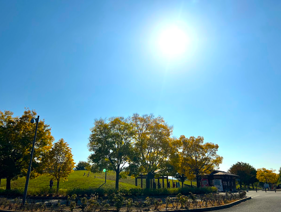 スクリーンショット 2025-11-14 113000.png