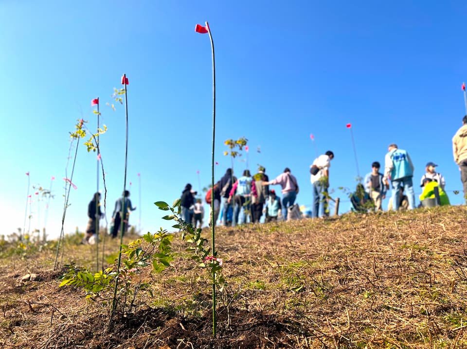 スクリーンショット 2025-11-14 113308.jpg