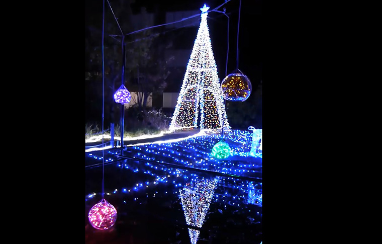 Illuminations on the campus of Kyoto headquarters